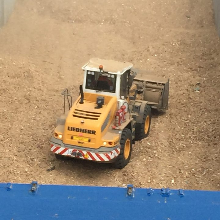 Loader levelling cargo in a ship's hold
